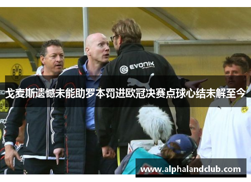 戈麦斯遗憾未能助罗本罚进欧冠决赛点球心结未解至今