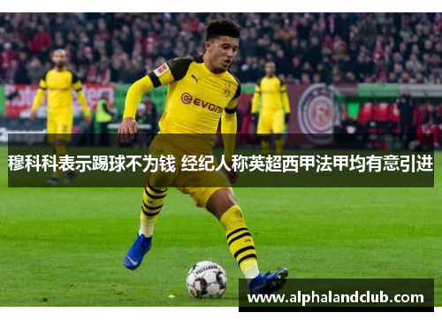 穆科科表示踢球不为钱 经纪人称英超西甲法甲均有意引进